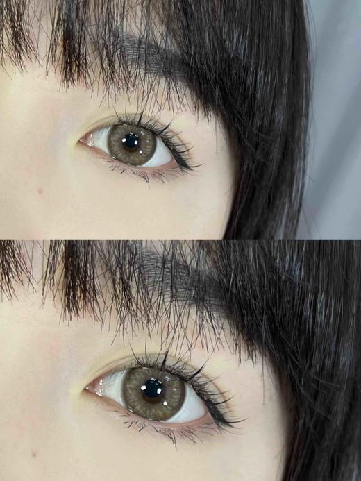 年抛 cococon 奶栗子 14.5  着色14.1【275/375/450/475/500/550/600/650/800缺货】 商品图4