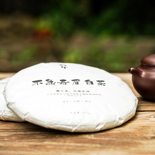 不急 2021春 300g 福鼎寿眉白茶 磻溪湖林村 商品图6
