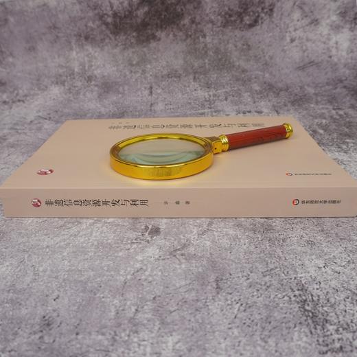 非遗信息资源开发与利用 国内非遗研究现状 非遗资源数字化建设 非遗信息资源组织 非遗信息的分析与挖掘 商品图2