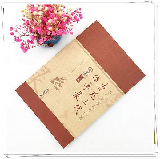 正版 现货【出版社直销】杏苑三代传承录 何迎春 主编 中国中医药出版社 朱良春等名医经验 中医临床 书籍 商品图1