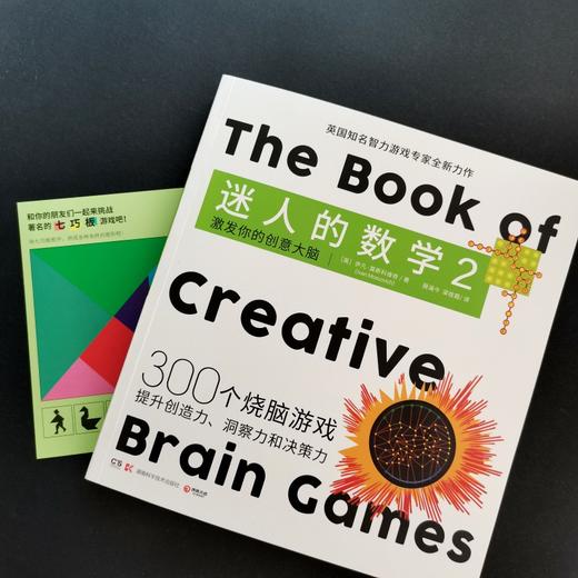 迷人的数学2 激发你的创意大脑 一本有故事的数学游戏书国际著名智力游戏专家的权威之作315个烧脑游戏呈现数学之美畅销书籍正版 商品图3