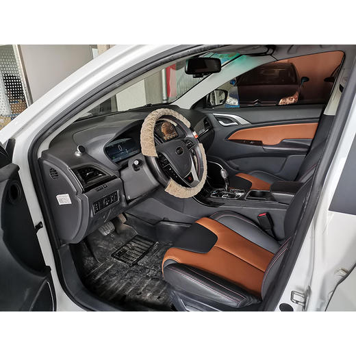 【特价月租-北京】比亚迪 秦EV300 豪华型 商品图3