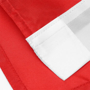 齐心国旗1~5号 商品图4