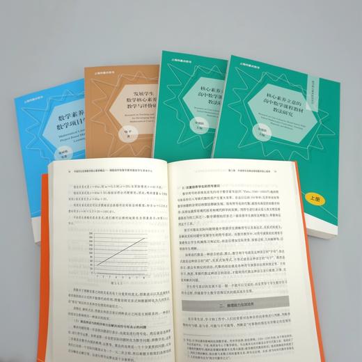 数学核心素养研究丛书6册 发展学生数学核心素养的教学与评价研究+核心素养立意的高中数学课程教材教法研究+数学素养与数学项目+大学视角下的中学数学 商品图10