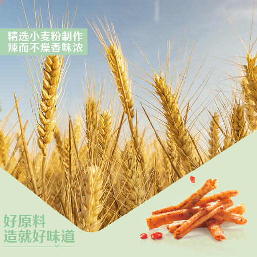 【限时一口价14.9元】烤面筋（香辣味）200g*2 商品图3