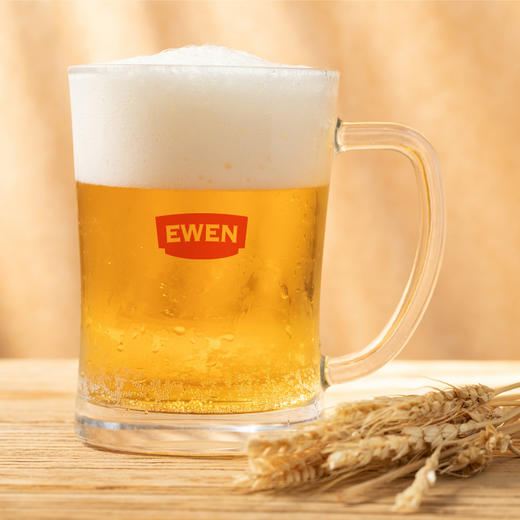 意文EWEN西班牙进口黄啤500ml*24罐 商品图1