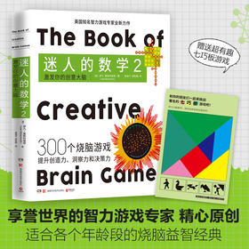 迷人的数学2 激发你的创意大脑 一本有故事的数学游戏书国际著名智力游戏专家的权威之作315个烧脑游戏呈现数学之美畅销书籍正版