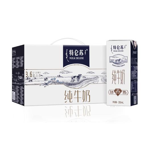 E特仑苏纯牛奶（250ml*12） 商品图0
