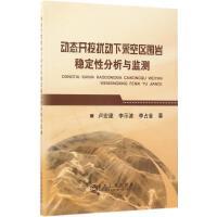 动态开挖扰动下采空区围岩稳定性分析与监测/卢宏建,李示波,李占金 商品图0