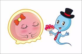 三甲医院教授指出：真正改善精子质量的成份有这些
