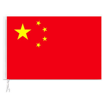 齐心国旗1~5号 商品图0