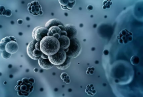 “不死的癌症”，最难治愈的妇科疾病之一！始于寒，止于灸！ 