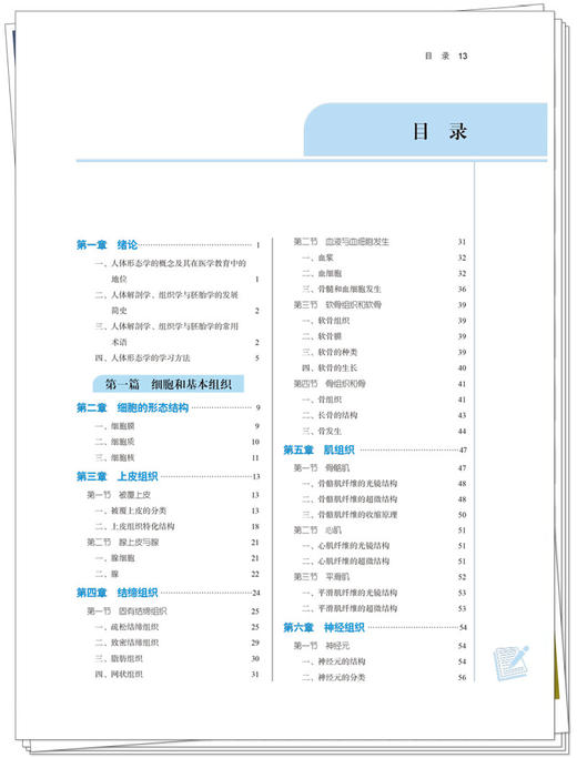 人体形态学 全国中医药行业高等教育“十四五”规划教材 供中药学药学管理学护理学等专业用 武煜明 游言文 9787513268721 商品图3