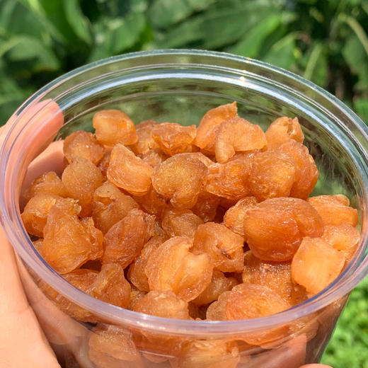 高州特级桂圆肉 精选老树桂圆 滋补必备 药食同源  煲汤泡茶 健康零食 商品图1