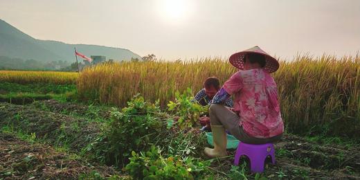 【花生酱】 传统石磨手艺，浓浓花生香，健康无添加 商品图7