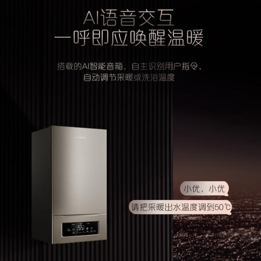 卡萨帝（Casarte）壁挂炉L1PB26-CL1(T)U1 商品图5