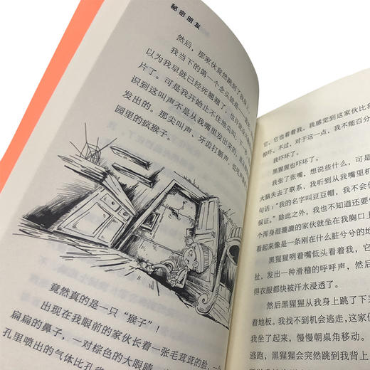 秘密朋友 商品图2