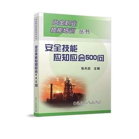 安全技能应知应会500问/张天启
