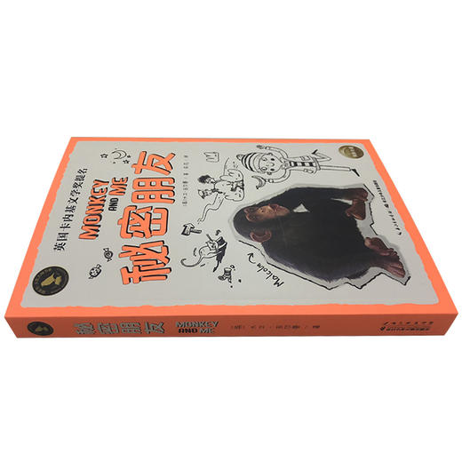 秘密朋友 商品图1