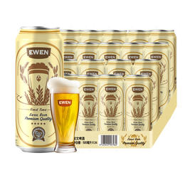 意文EWEN西班牙进口黄啤500ml*24罐