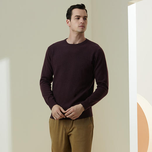 METTE羊绒世家2021年秋冬男士100%山羊绒衫时尚圆领绞花保暖毛衣 商品图1