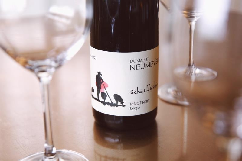 精品有机酒标杆！法德混血——法国阿尔萨斯产区诺美艺酒庄牧羊人黑皮诺红葡萄酒（图一）