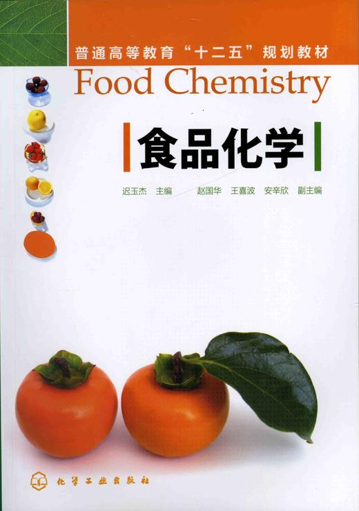 食品化学 迟玉杰主编 普通高等教育“十二五”规划教材 重点介绍食品化学基础理论 商品图0