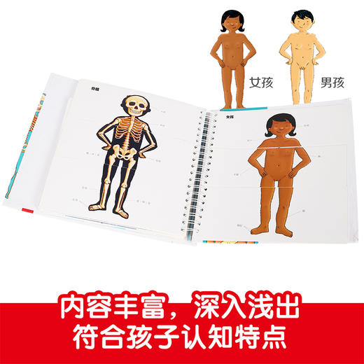 乐乐趣爆款-《我们的身体》早教性启蒙人体科普书 商品图6