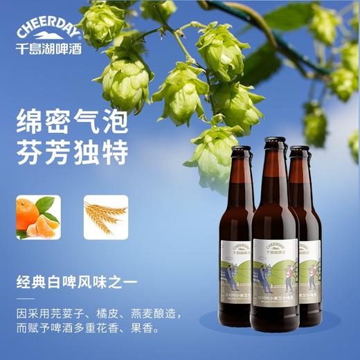 11°P千岛湖啤酒比利时小麦艾尔啤酒330ml*6瓶 异域风情 醇厚爽口 商品图2