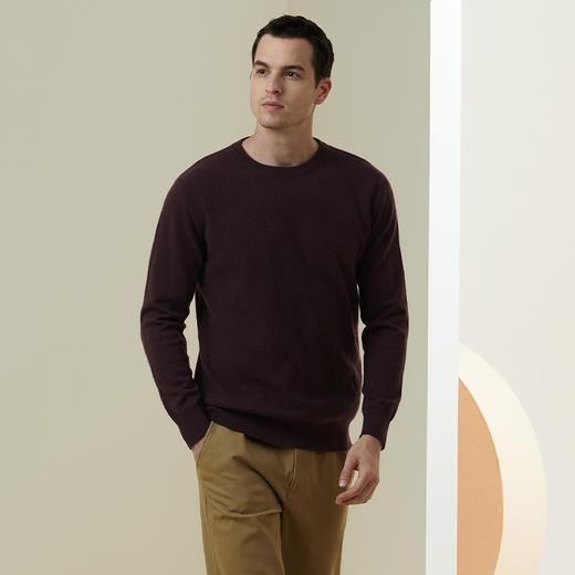 METTE羊绒世家2021年秋冬男士100%山羊绒衫时尚圆领绞花保暖毛衣 商品图2