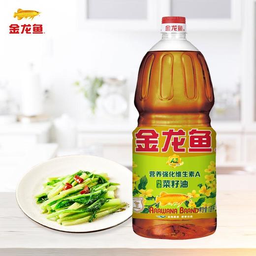金龙鱼 三级非转基因物理压榨营养强化维生素A纯香菜籽油 1800ml/桶 商品图2