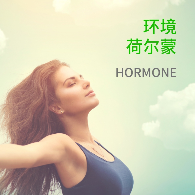 环境荷尔蒙13项