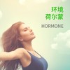 环境荷尔蒙13项 商品缩略图0