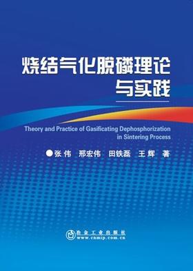 烧结气化脱磷理论与实践/邢宏伟