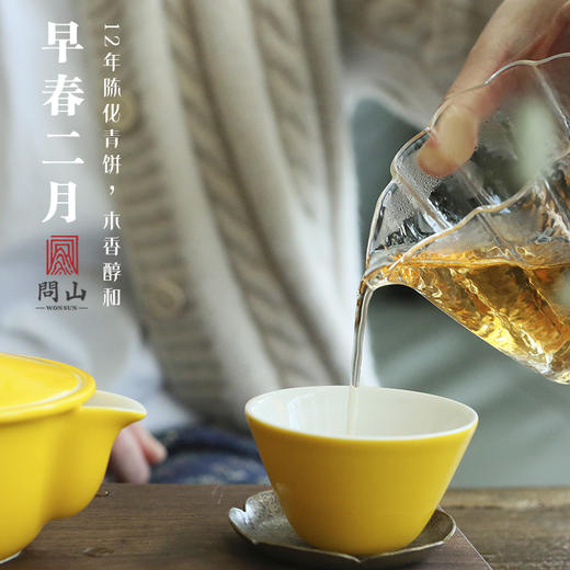 早春二月 · 2009年普洱饼茶生普 | 问山严选 商品图1