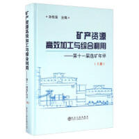 矿产资源高效加工与综合利用(上册)/孙传尧