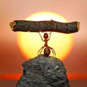 成年人的世界：无人不苦，不必喊疼