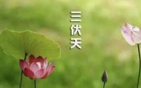 这6件事，绝不能在夏天做！因为太伤身体了,还可能... 