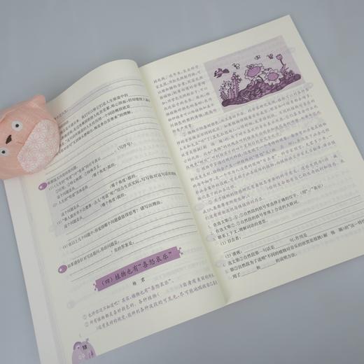 语文优+阅读 四年级 第二版 小学语文 指导与解析阅读理解书 兼顾知识能力习惯方法 商品图3