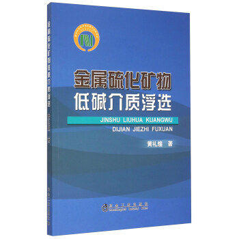 浮选/黄礼煌 商品图0