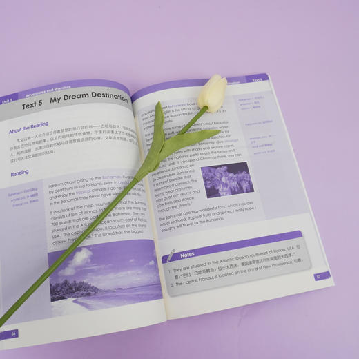 世界经典英语课文选读9级上 精选课文紧贴课标附有声伴读 认识自我世界文化人与自然人际关系 9~10年级 商品图4