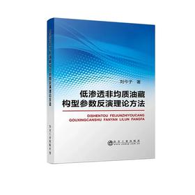 低渗透非均质油藏构型参数反演理论方法/刘今子