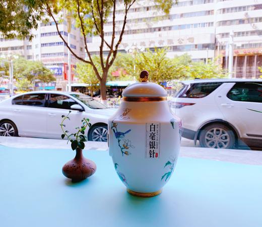 2021老树白毫银针 商品图1