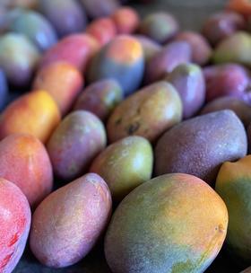 云南有机芒果 澳芒 6斤装