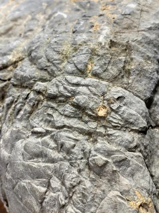 天然太湖石案头老山子，顺丰包邮 商品图3