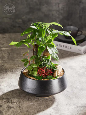 致尚高定 | 财运亨通