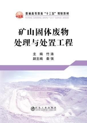 矿山固体废物处理与处置工程/竹涛 商品图0