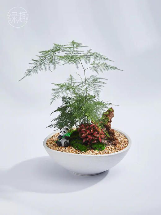 致尚高定 | 日月丽天 商品图1