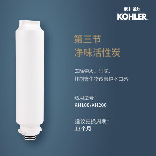 科勒大思丹滤芯 第三节滤芯78435T-R3-01R 商品图0