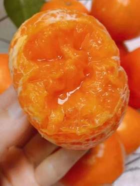 【云南高山沃柑】约5斤，爆汁甜